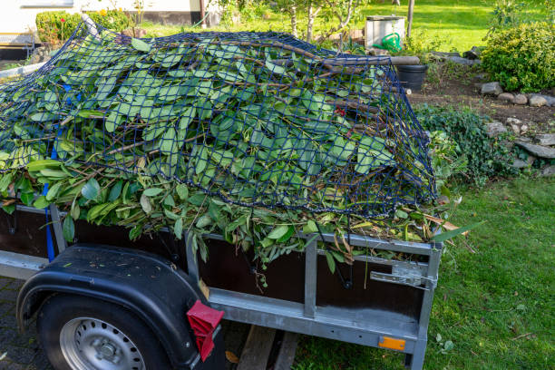 Best Shed Removal  in Savannah, TN